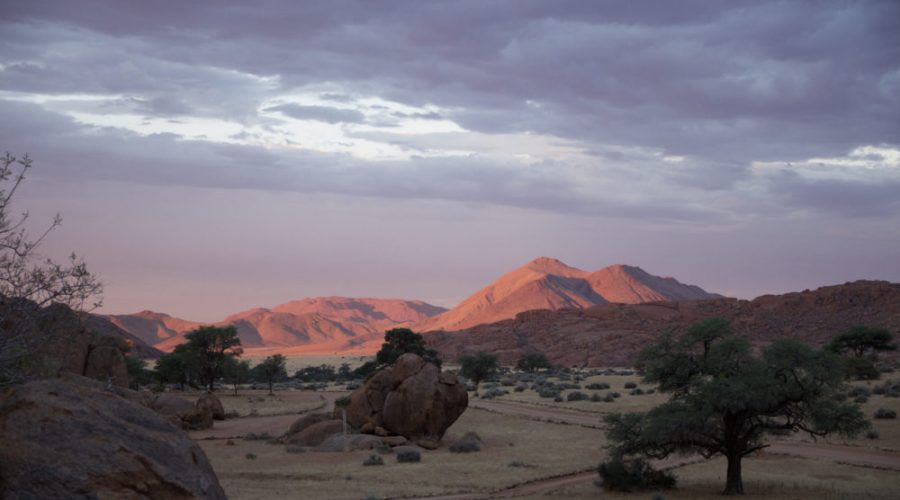 Découvrez la Namibie en Autotour: Une expérience authentique avec Hors Pistes Afrique Australe