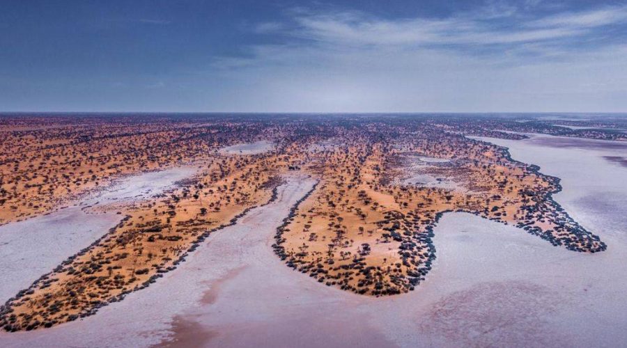 Les plus beaux parcs à explorer lors d’un safari au Botswana