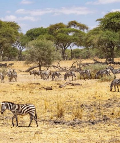 Itinéraire d’aventure en Tanzanie pour les amoureux de grands espaces