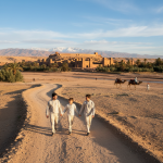 Voyage au maroc en famille : itinéraires et conseils pour un premier séjour réussi