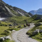 Camping familial Hérault : les meilleures adresses pour des vacances en famille réussies