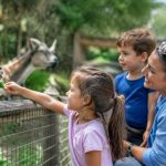 Sortie famille pas cher : nos meilleures idées partout en France