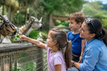 Sortie famille pas cher : nos meilleures idées partout en France