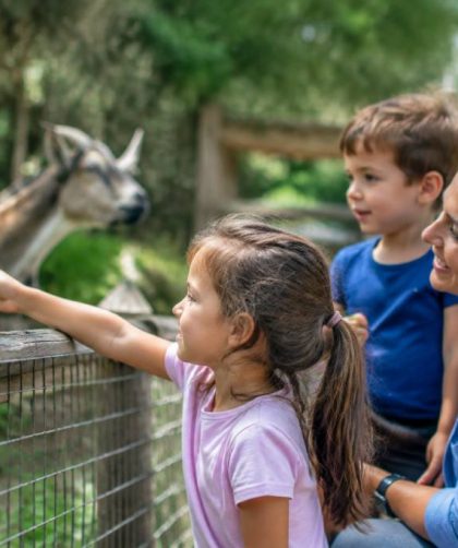 Sortie famille pas cher : nos meilleures idées partout en France
