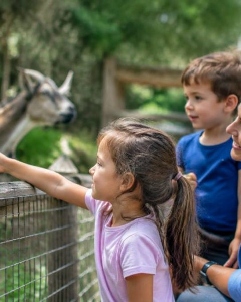 Sortie famille pas cher : nos meilleures idées partout en France