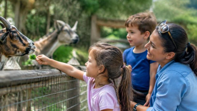 Sortie famille pas cher : nos meilleures idées partout en France