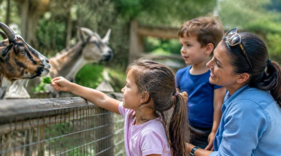 Sortie famille pas cher : nos meilleures idées partout en France