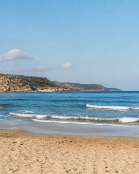 Familytrip vacaf : des vacances en famille accessibles et inoubliables