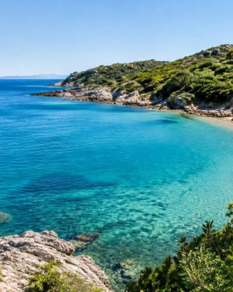 Agence de voyage à Alès : des idées de vacances en famille partout dans le monde